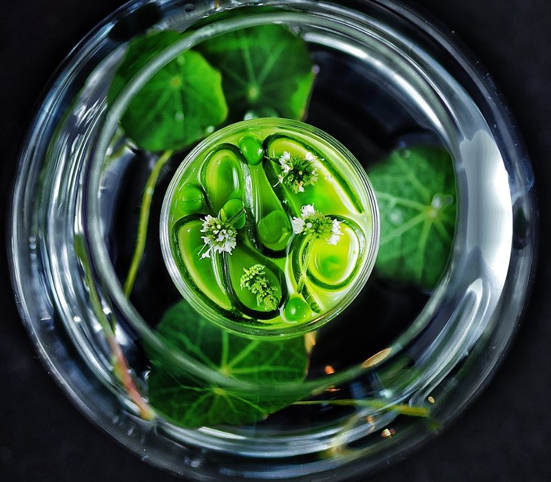 Elegant green Nordic dish with edible flowers and micro herbs, crafted by a private Norwegian chef for luxury yacht dining in Monaco.